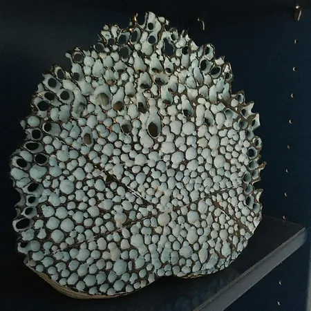 La Parenthese Enchantee *