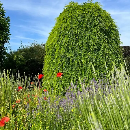 לינה וארוחת בוקר La Parenthese Enchantee